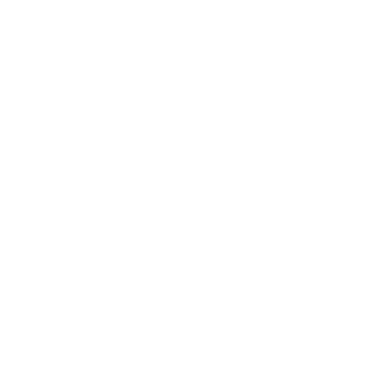 icon touch